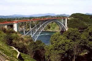 自転車保険に加入すること