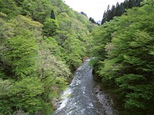 わくわくドキドキする謎解き体験
