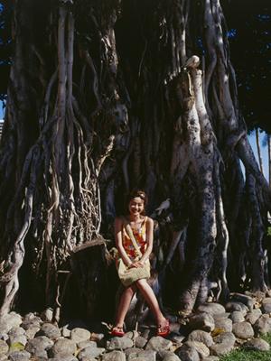 一括見積もりで貸切バスを北海道で利用