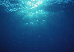 長崎市にあるビジネスホテル「東横INN長崎駅前」の魅力と詳細情報