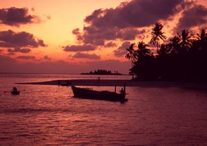 システムメンテナンスのお知らせ：快適なサービス提供のための重要なアップデート