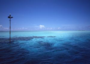 大阪市北区にある快適なビジネスホテル：東横INN梅田中津2の魅力と詳細情報