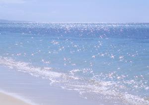 充実のサーフショップがあります