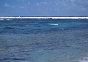 栃木県足利市のビジネスホテル【東横INN足利駅北口】の魅力と概要