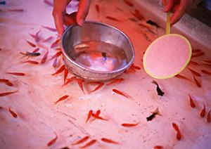 千葉駅から徒歩5分の快適な滞在を提供｜東横INN千葉駅前の魅力と詳細情報