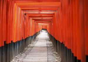 神奈川県相模原市に位置するビジネスと観光に最適な東横イン横浜線淵野辺駅南口の魅力と詳細情報