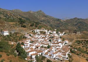 東京千代田区にある東横INN溜池山王駅官邸南の魅力と詳細情報