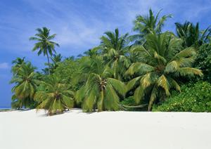 下呂観光ホテル本館の館内施設について
