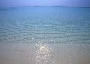 金沢の金箔体験で企業イメージがアップ