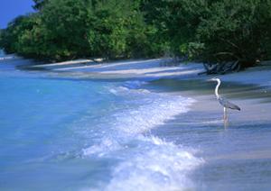 沖縄・那覇市のビジネスホテルを徹底解説！東横INN那覇おもろまち駅前の魅力と特徴