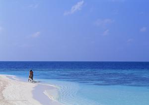 伊豆で犬と泊れる宿を探しているなら