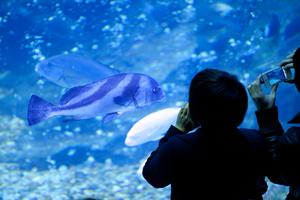 静岡県掛川市にあるビジネスホテル「東横INN掛川駅新幹線南口」の完全ガイド